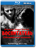 Воспитатель (Обожжённые колени)(Blu-ray,блю-рей)