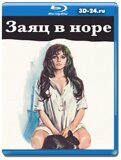 Заяц в норе (Blu-ray,блю-рей)