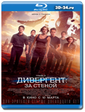 Дивергент, глава 3: За стеной (Blu-ray, блю-рей)