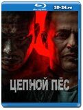 Цепной пёс 2024 (Blu-ray,блю-рей)