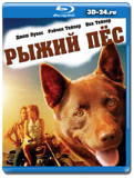 Рыжий пес (Blu-ray, блю-рей)