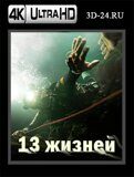 13 жизней (Blu-ray,блю-рей) 4К