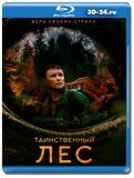 Таинственный лес 2023  (Blu-ray,блю-рей)