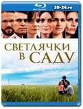 Светлячки в саду  (Blu-ray,блю-рей)