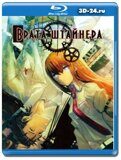 Врата Штайнера(Blu-ray,блю-рей) 2 диска