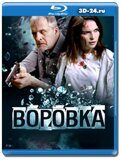 Воровка 2023 (Blu-ray,блю-рей)