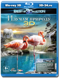 Изучая природу 3D (Blu-ray, блю-рей)