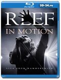 Reef: In Motion - Live from Hammersmith (Blu-ray,блю-рей)