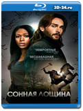 Сонная Лощина 3 сезон (Blu-ray, блю-рей) 3 диска