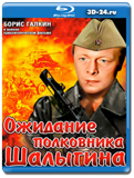 Ожидание полковника Шалыгина  (Blu-ray, блю-рей)