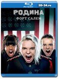 Родина: Форт Салем (Blu-ray,блю-рей)