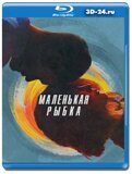 Маленькая рыбка  (Blu-ray,блю-рей)