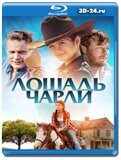 Лошадь Чарли (Blu-ray,блю-рей)