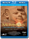 Мумии: Секреты фараонов 3D  (Blu-ray, блю-рей) 