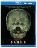 Залив (Blu-ray,блю-рей)