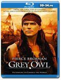 Серая сова  (Blu-ray,блю-рей)
