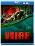 Наводнение 2023 (Blu-ray,блю-рей)