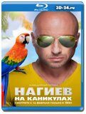 Нагиев на каникулах (Blu-ray,блю-рей)