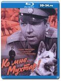 Ко мне, Мухтар! (Blu-ray.блю-рей)