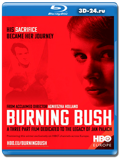 Неопалимая купина (мини-сериал) (Blu-ray, блю-рей)