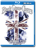 Black Stone Cherry: Thank You Livin’ Live  (Blu-ray, блю-рей)