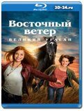 Восточный ветер. Великий ураган (Blu-ray, блю-рей)