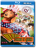 Шелли снова в деле  (Blu-ray, блю-рей)