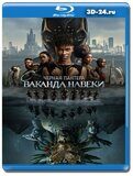 Чёрная Пантера: Ваканда навеки (Blu-ray,блю-рей)