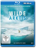 Дикая Арктика 2 диска  (Blu-ray, блю-рей)