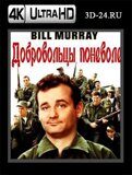 Добровольцы поневоле (Blu-ray,блю-рей) 4К