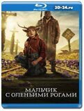 Мальчик с оленьими рогами 2 сезон (Blu-ray, блю-рей) 2...