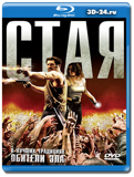 Стая 2009 (Blu-ray, блю-рей)