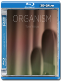 ORGANISM (Blu-ray audio,блю-рей аудио)