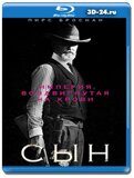 Сын 2 сезон  (Blu-ray,блю-рей)  2 диска