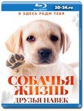 Собачья жизнь: Друзья навек (Blu-ray,блю-рей)