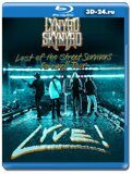 Lynyrd Skynyrd - Last Of The Street Survivors Farewell Tour Lyve  (Blu-ray,блю-рей)