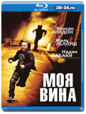 Моя вина 2014  (Blu-ray, блю-рей)