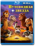 Путеводная звезда  (Blu-ray,блю-рей)