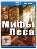 Мифы леса (Blu-ray, блю-рей)