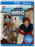 Амаркорд (Blu-ray, блю-рей)