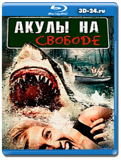 Акулы на свободе (Blu-ray, блю-рей)