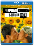 Черная кошка, белый кот (Blu-ray,блю-рей)