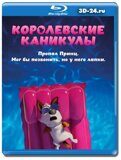 Королевские каникулы  (Blu-ray,блю-рей)