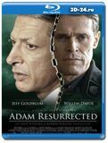 Воскрешенный Адам (Blu-ray, блю-рей)