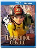 Пламенное сердце (Blu-ray,блю-рей)