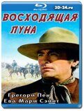 Восходящая Луна  (Blu-ray,блю-рей)