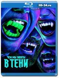 Чем мы заняты в тени 4 сезон (Blu-ray,блю-рей)