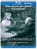 Земляничная поляна (Blu-ray, блю-рей)