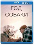 Год собаки 2022 (Blu-ray,блю-рей)