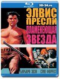 Пламенеющая звезда (Blu-ray,блю-рей)